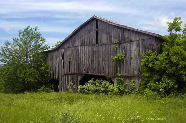Reclamation by Nature