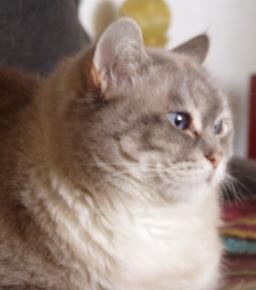 XUXA