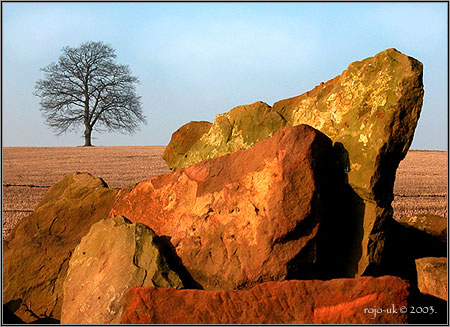 Set in Stone