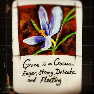 Grace is a Crocus