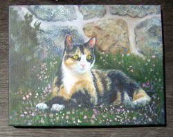 Mary, a purr-fect portrait