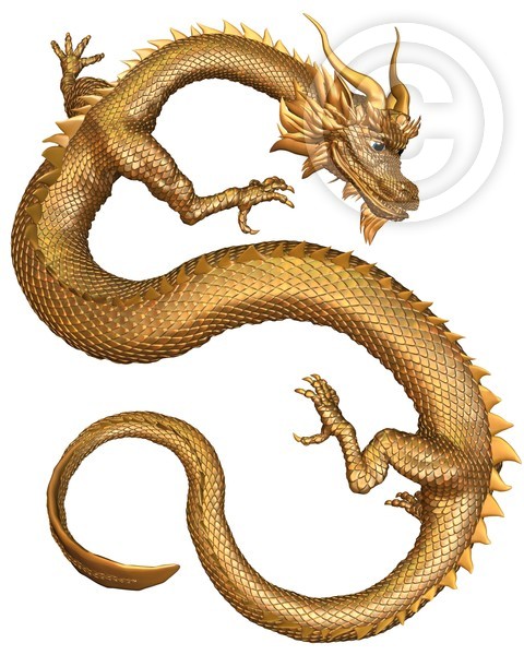 Chinese Gold Dragon