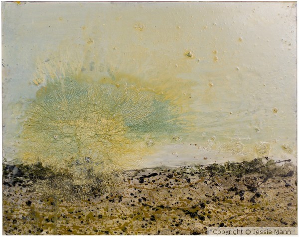 Spring11#1 16x20Big