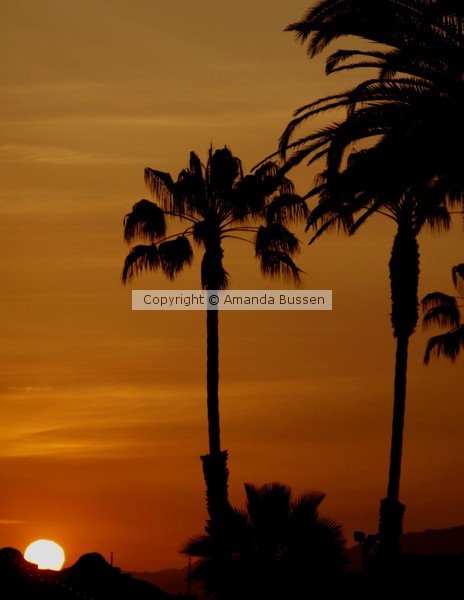 Sunset in Santa Monica