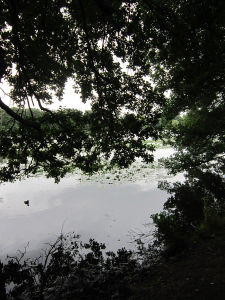 Manor Gardens