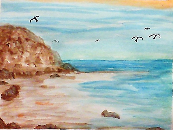 Low tide