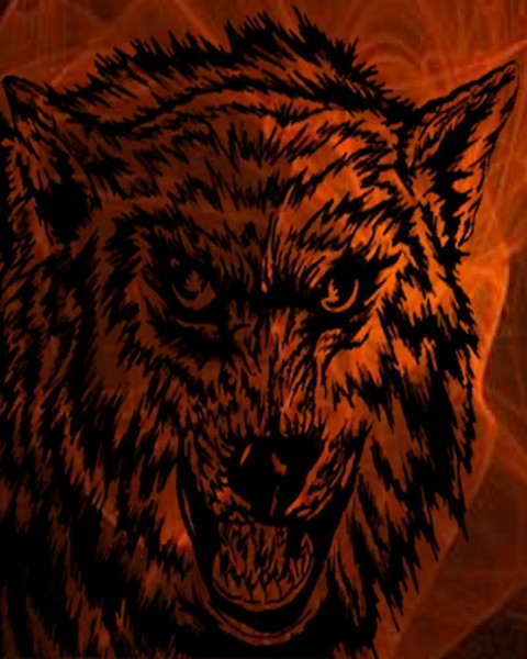 angry wolf fire