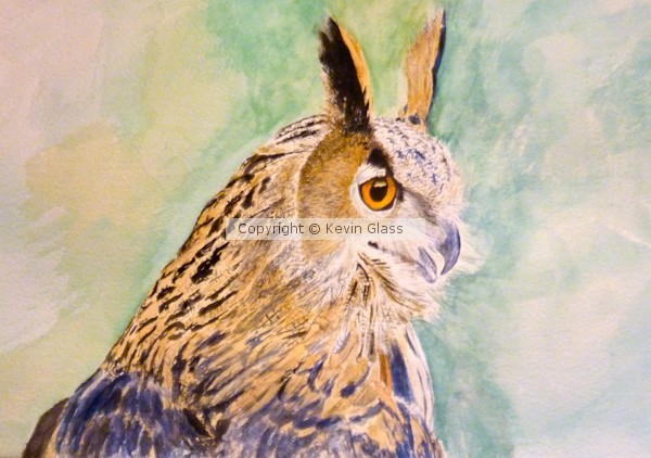 Eagle Owl