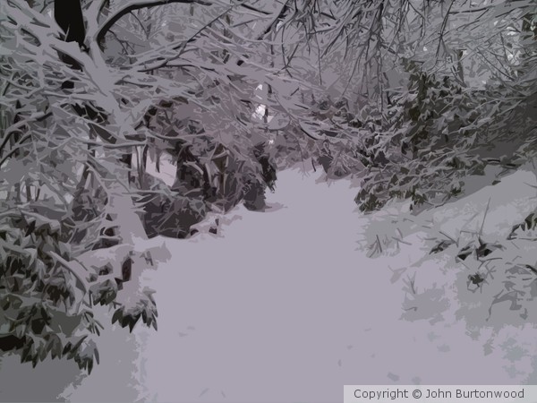 snowpath
