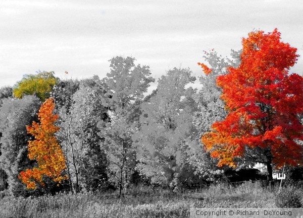 VERMONT AUTUMN DELAYED