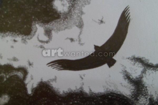pics 006