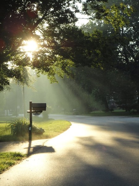 Light The Way Home