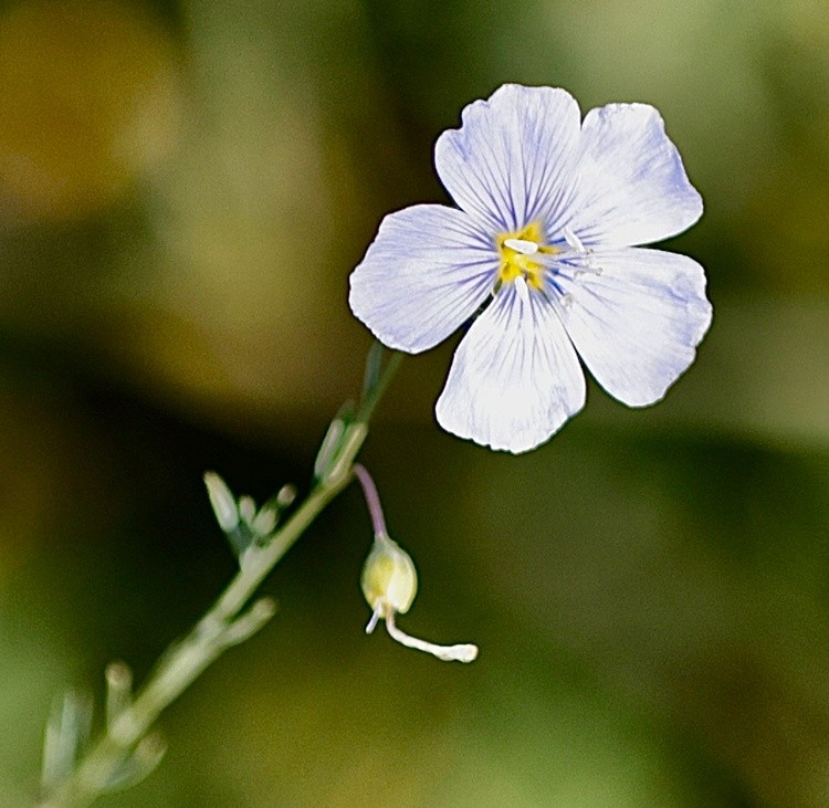 9G0A0450