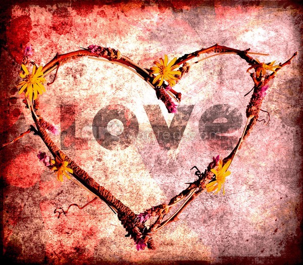 Heart Love