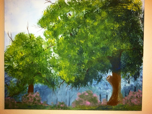 Landscapes