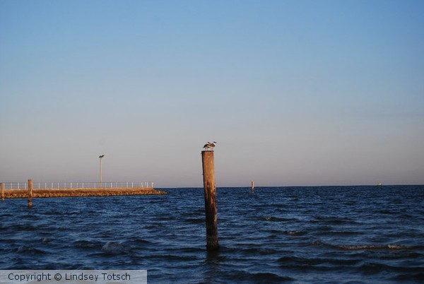 Sunny Beach in Texas