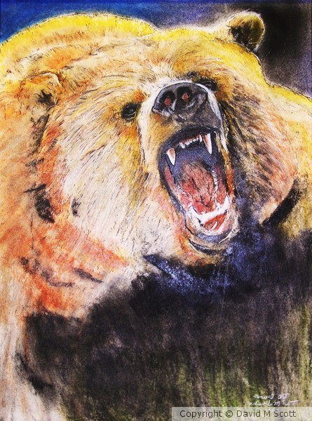 A Bear Guarding is fishing hole