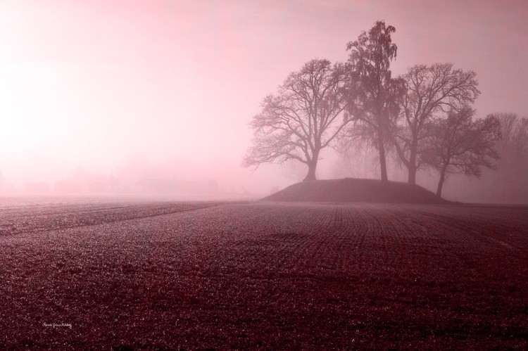 Behind the Mist