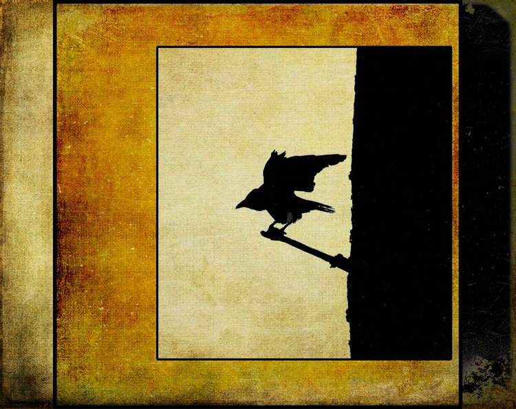 Crow