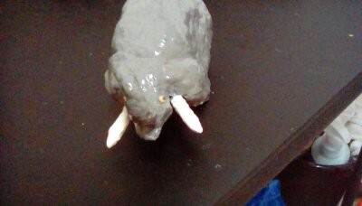 Grey Elephant