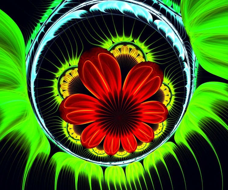 The Flower of Sympathy