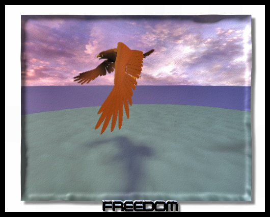 Freedom