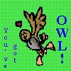 You've got Owl!