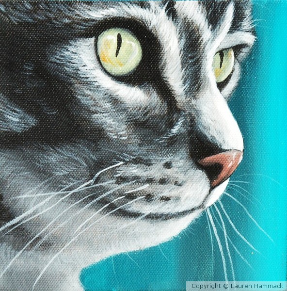 Cats Are Beautiful