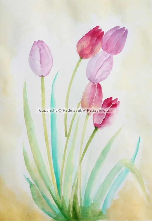 Tulips