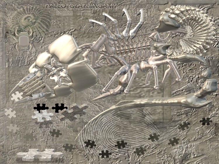 fossil puzzle