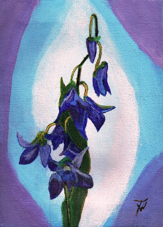 Orchid