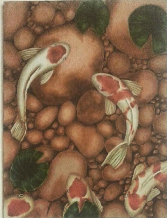Koi pond