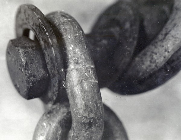 Chain Link