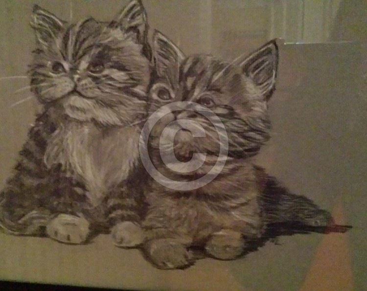 Kitten Love