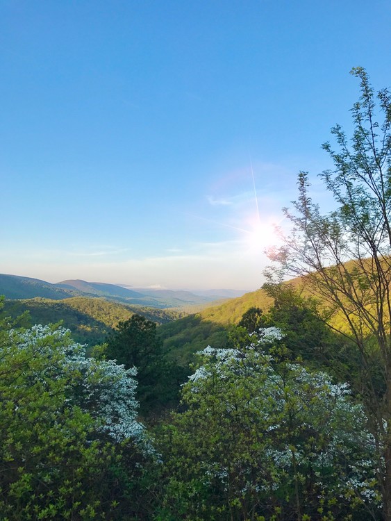 Shenandoah Valley
