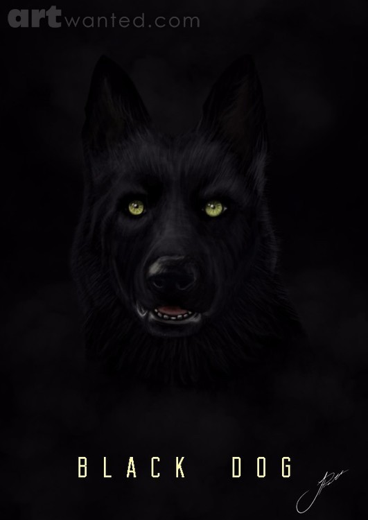 Black Dog