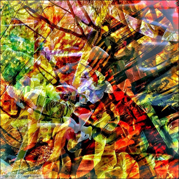 da_23618