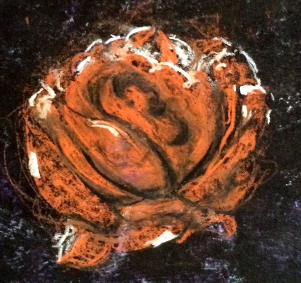 Rose Drawing