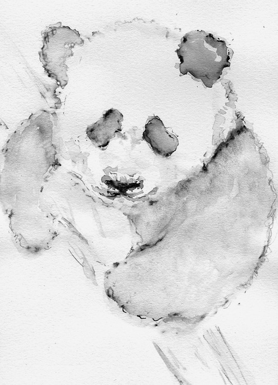 Panda Drawing