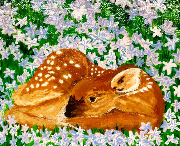 Sleepy fawn