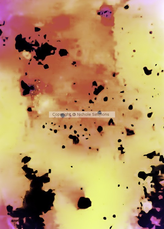 World on fire