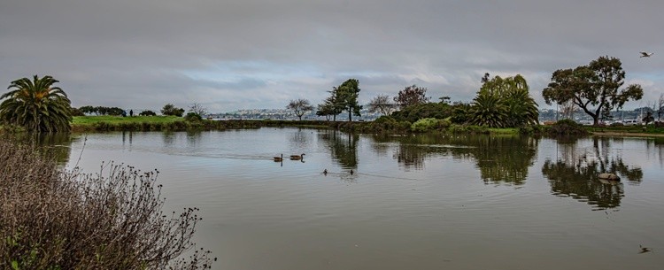 Bill Nichols Pond - February 26  2026