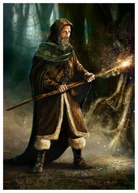 Druid