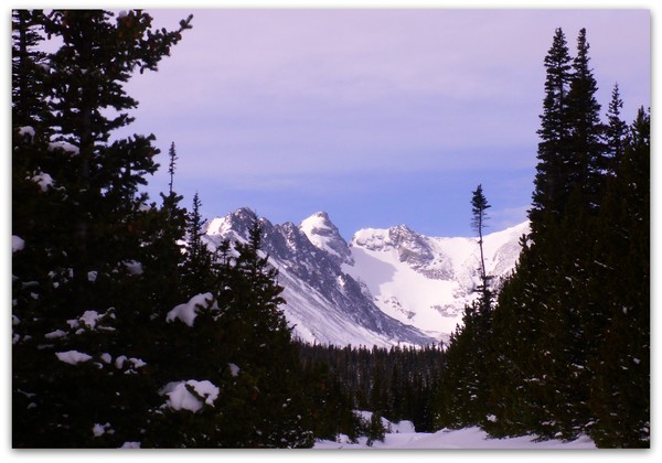 Brainard Snowshoe