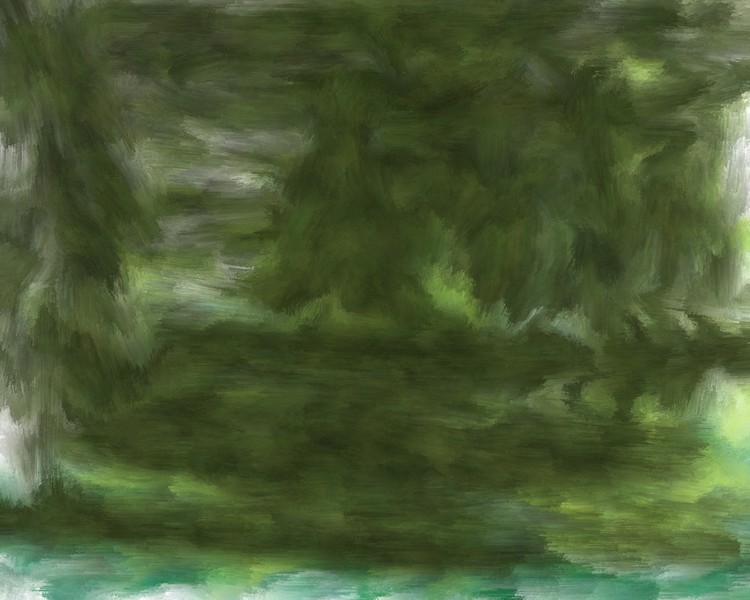 the forest