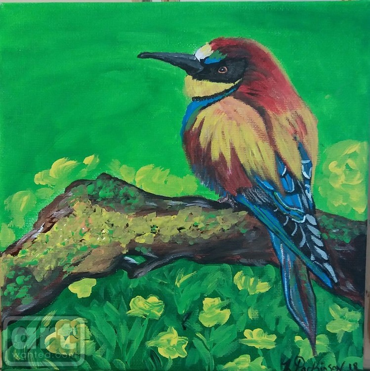 Paradise ****SOLD****