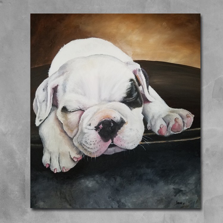 Puppy-Bruce