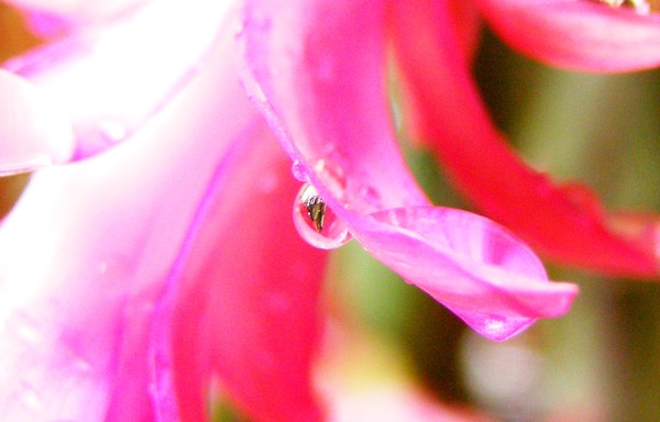 Crystal-clear view through the colors!