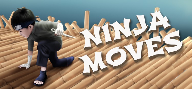 Ninja Moves