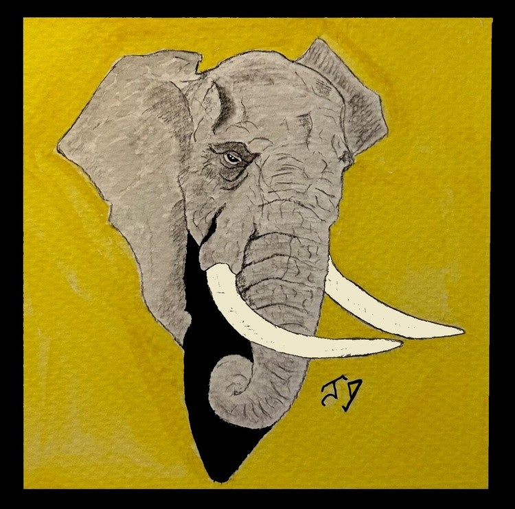 Elephant YBG 3D